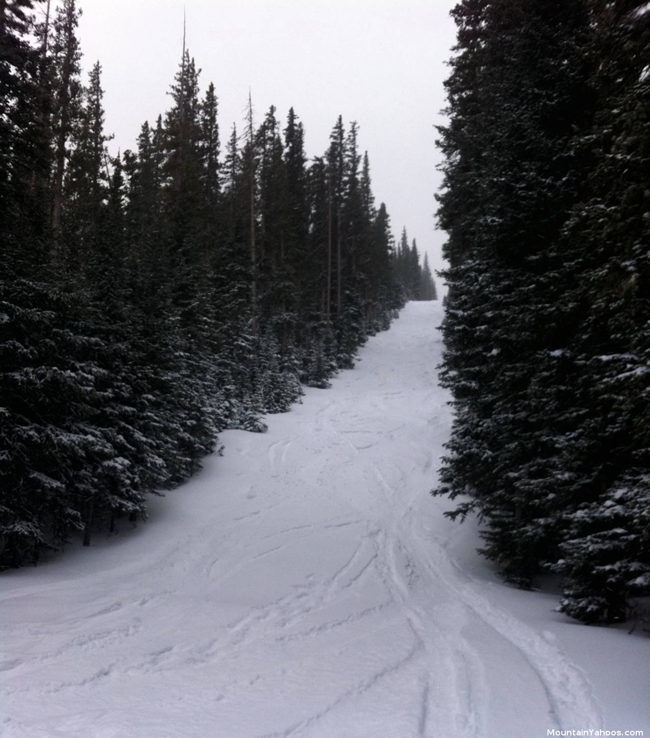 Avalanche training course