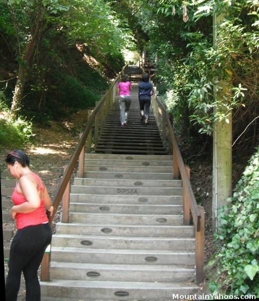 Mill Valley CA: DIPSEA Stairs