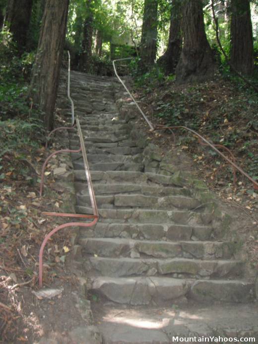 Mill Valley CA: DIPSEA Stairs