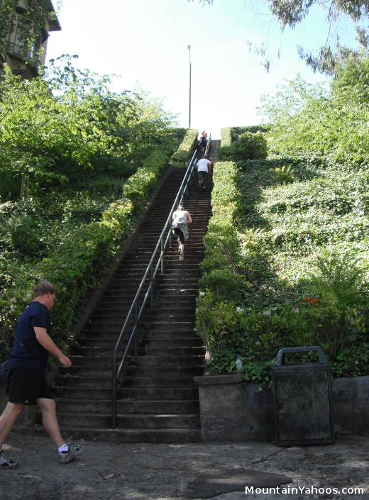 San Francisco: Lyon Street Stairs