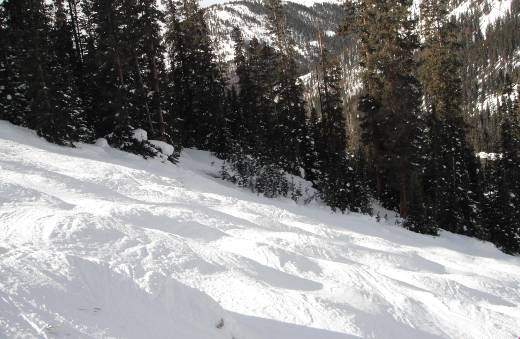 Exhibition mogul run