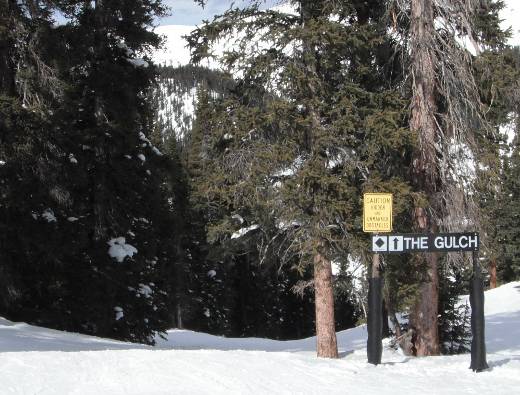 The Gulch
