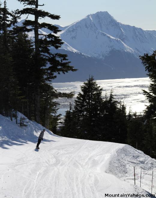 Beginner ski trail