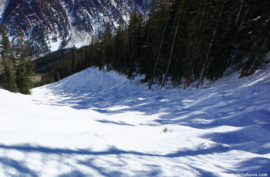 Snyder's Ridge: lower moguls