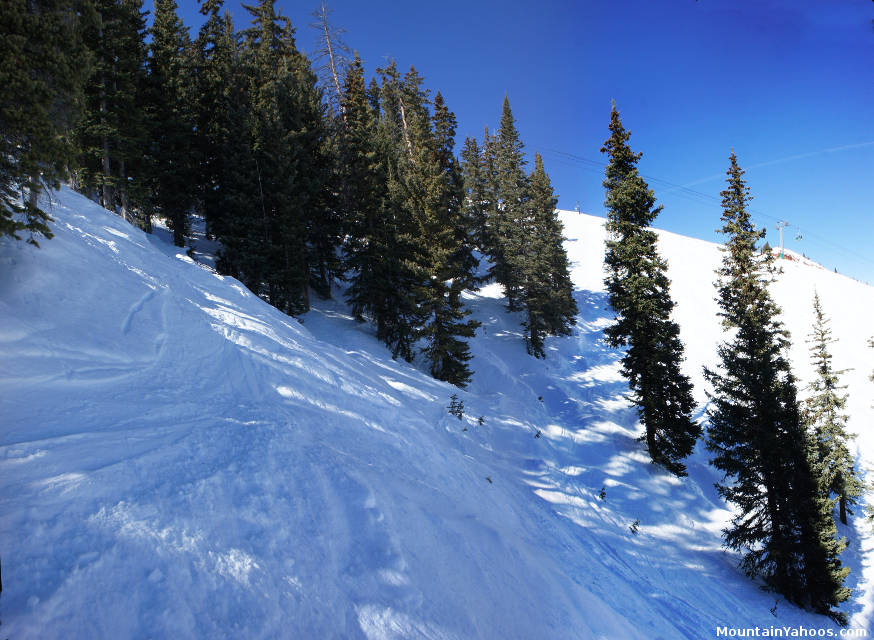 Snyder's Ridge: Skiing trees