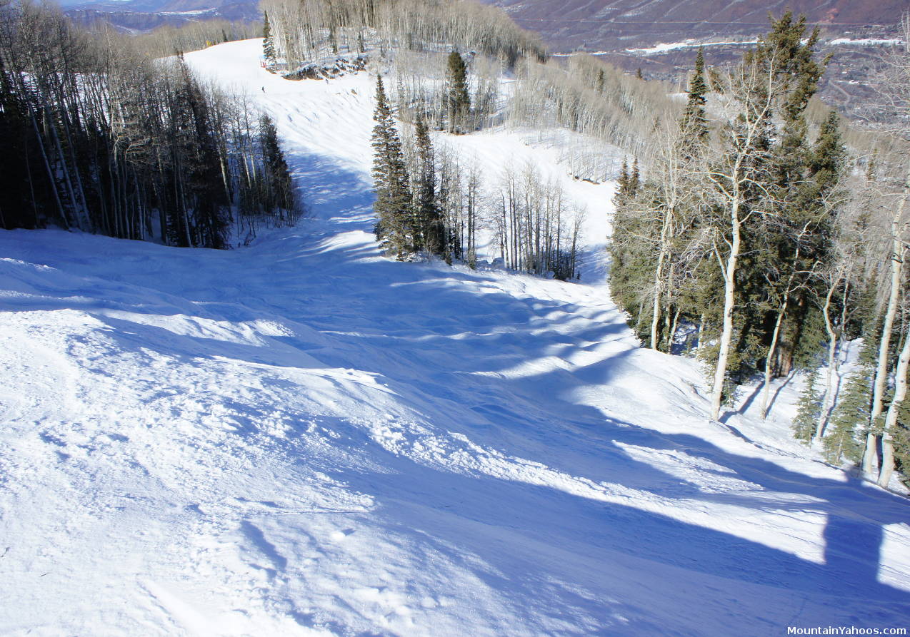 Mogul run