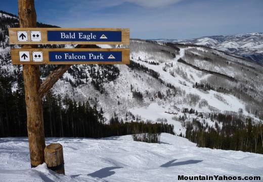 Mogul run Bald Eagle