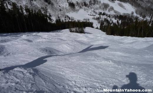 Mogul run Bald Eagle