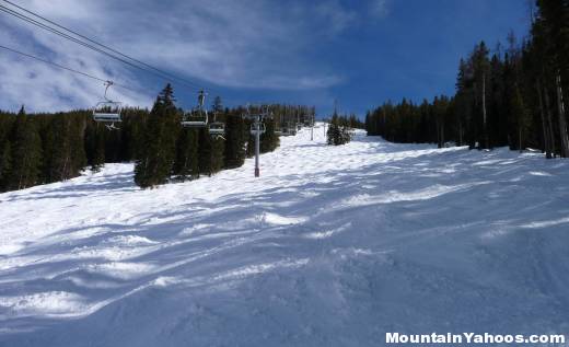 Mogul run Peregrine