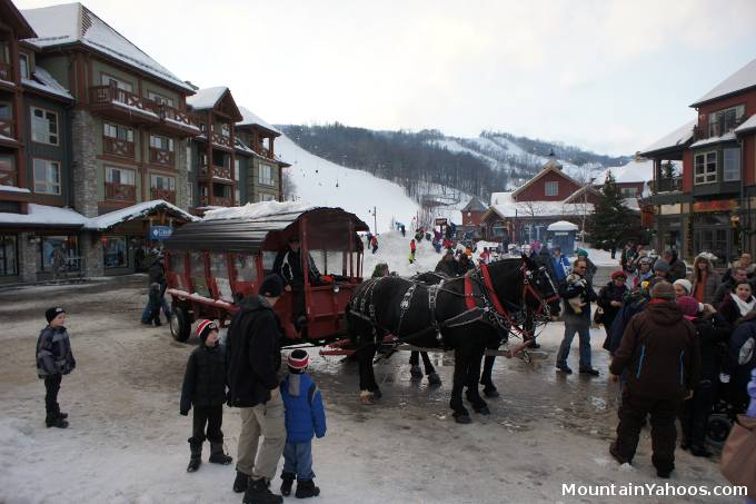 Blue Mountain base village: Horse and Carriage