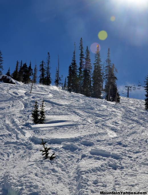 First Tracks, black diamond ski run