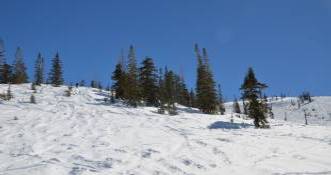 Brian Head Mountain top1