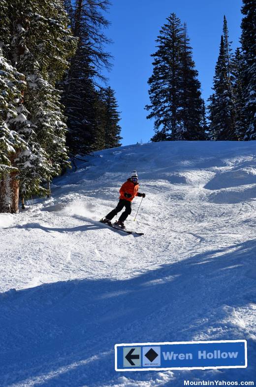 Wren Hollow, black diamond ski run