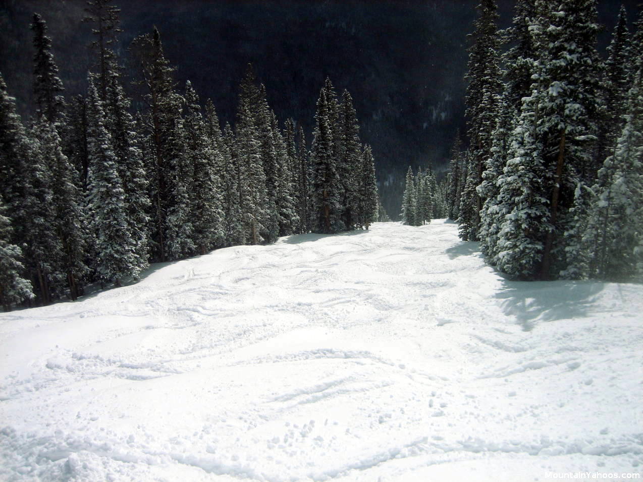 Drain Pipe mogul run at Copper Mountain