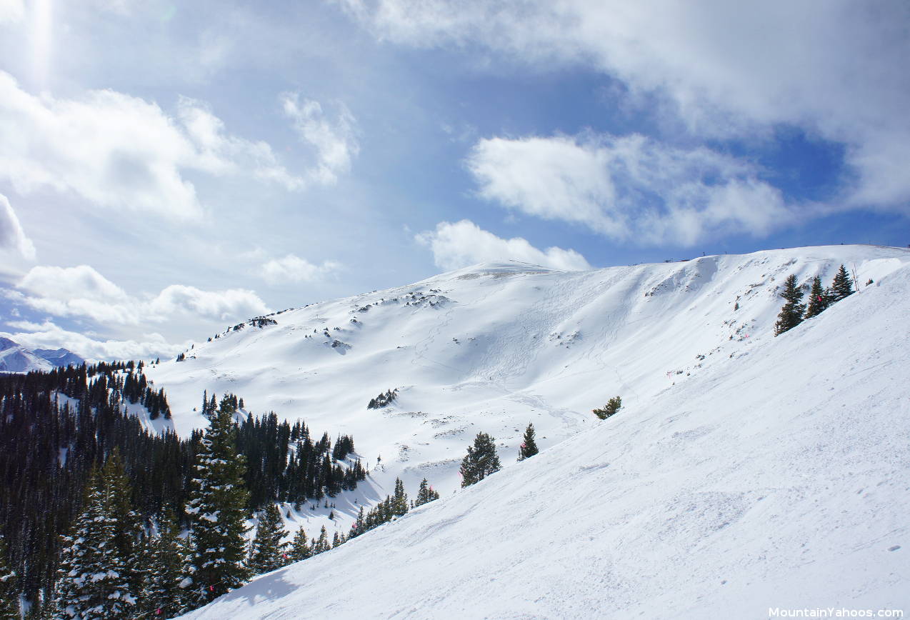 Spaulding Bowl