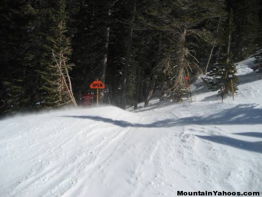 Route through trees to Daly Bowl and Chutes