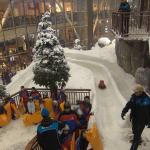 Toboggan run at Ski Dubai