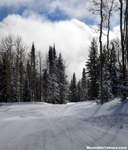 Broad Street ski run