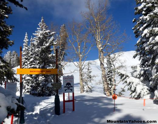 Backcountry terrain at the top of Monarch triple chair