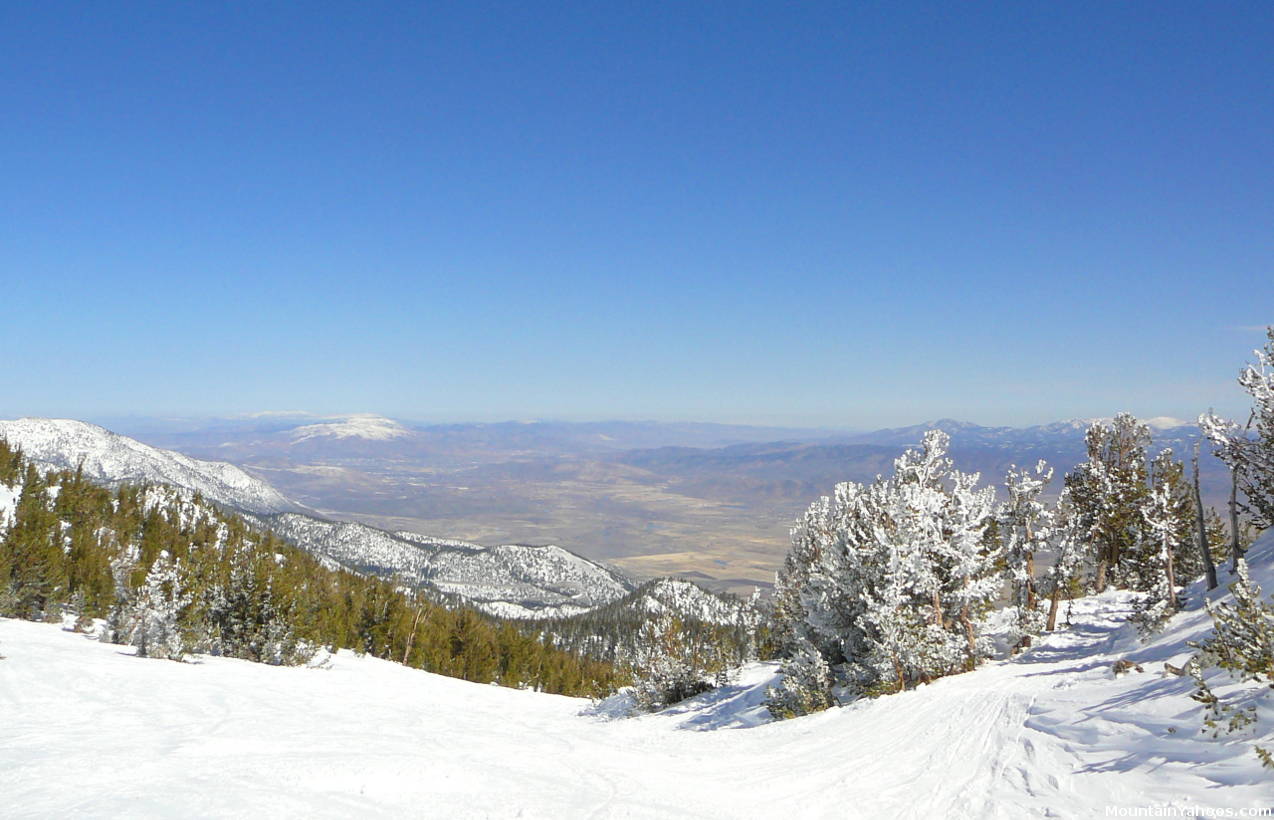 Beginner ski run