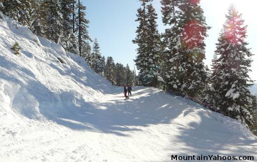 Beginner ski run