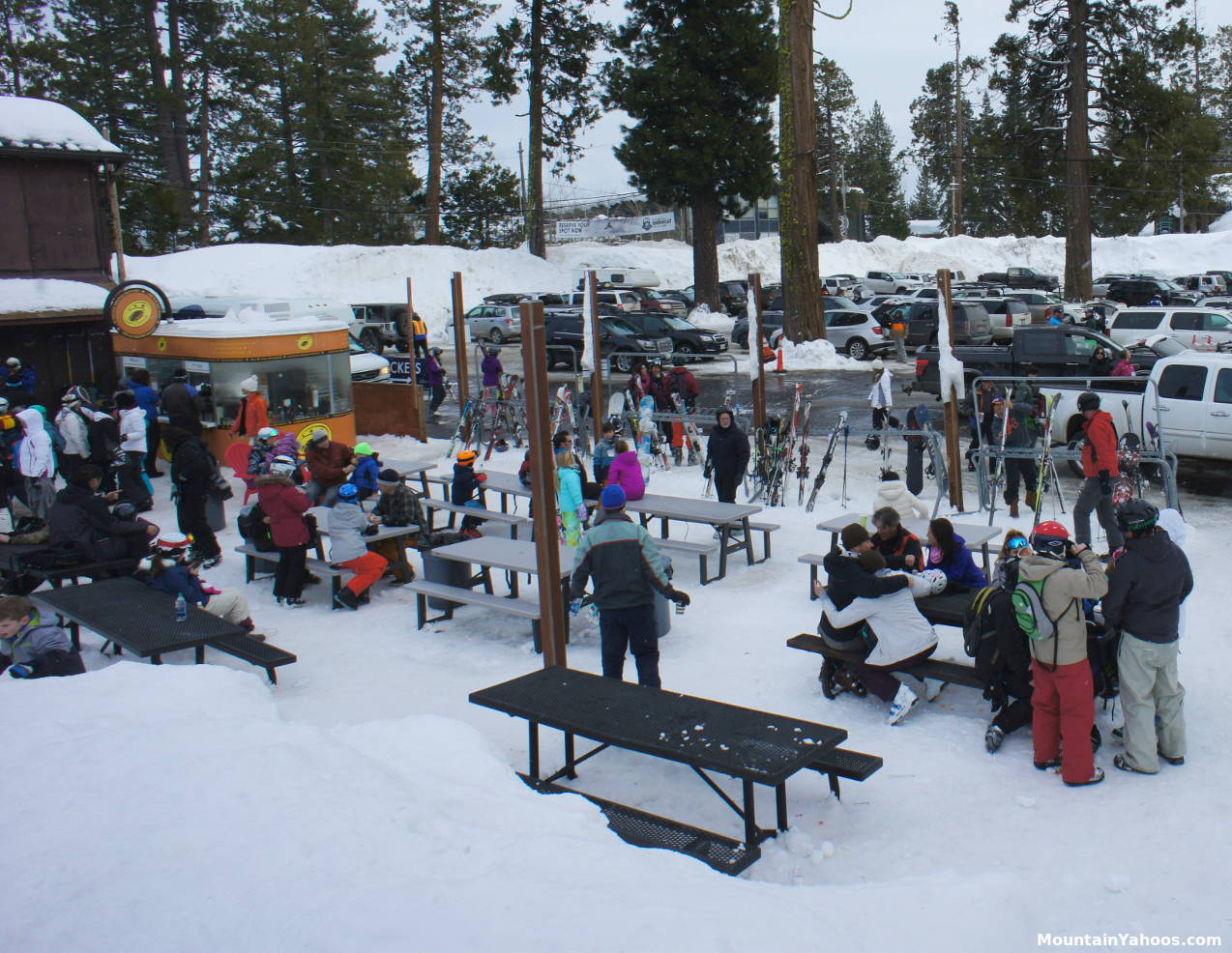 The main lodge at Homewood - 89 Bar