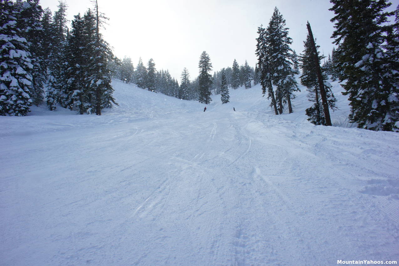 Intermediate blue run - Second Creek