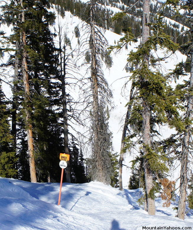 Jackson Hole Wyoming tree run with Cliff sign