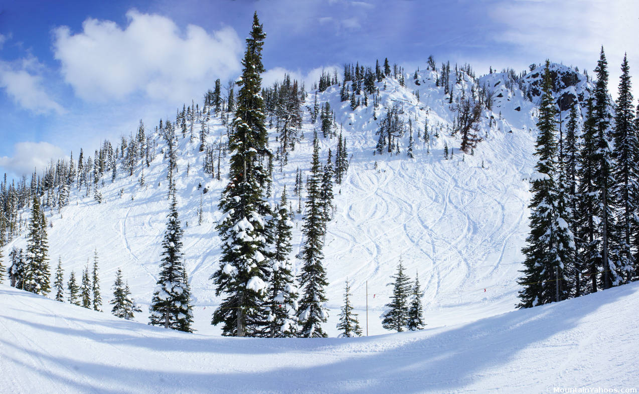 Tree runs off of the ridge in Crystal Bowl