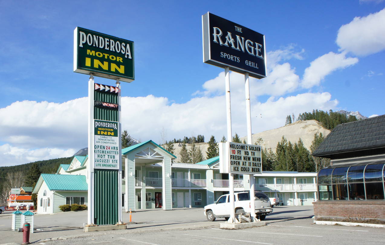 Ponderosa in Golden British Colombia