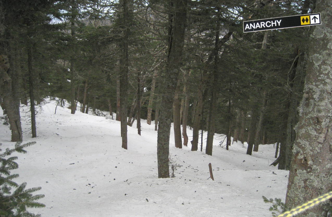 Anarchy tree run at Killington