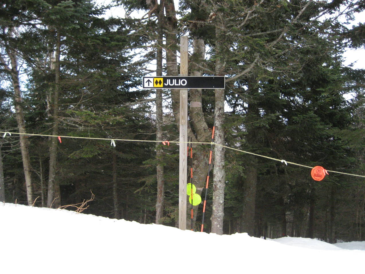 Julio tree run at Killington