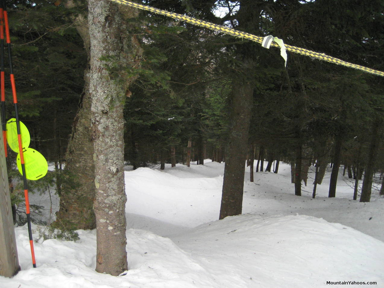 Julio tree run at Killington