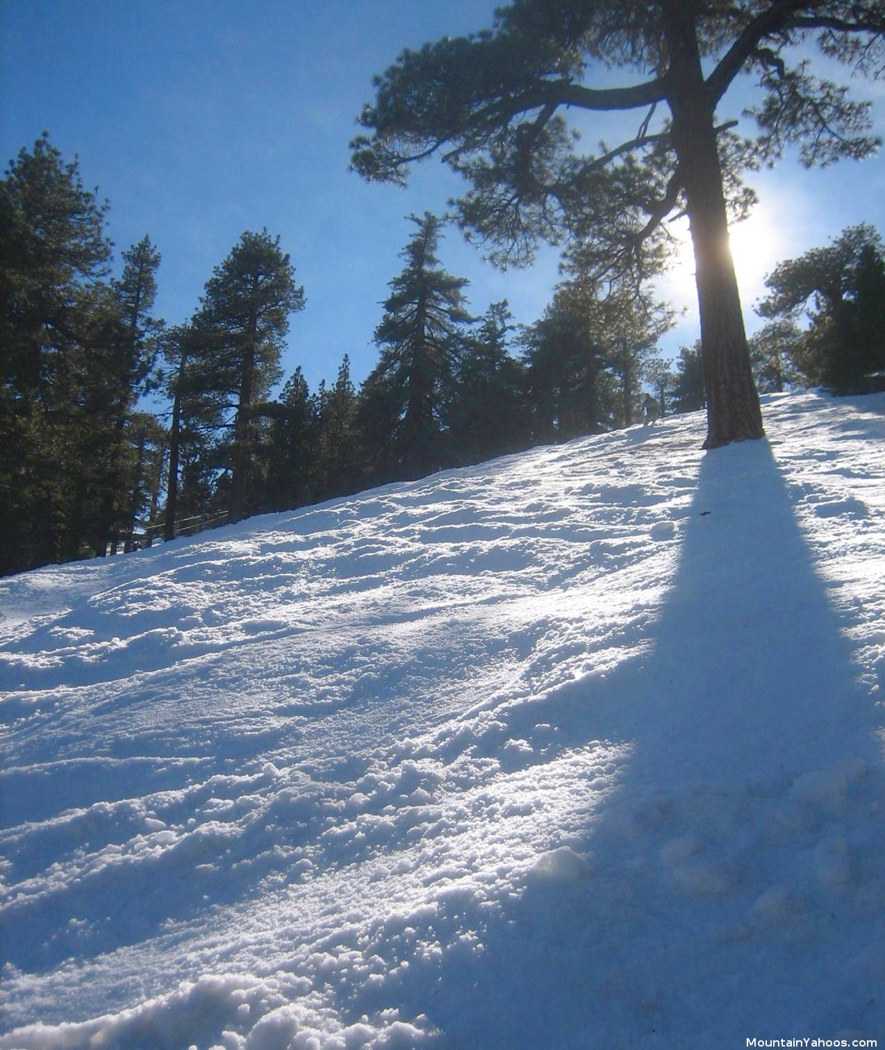 mogul run at Mt Waterman