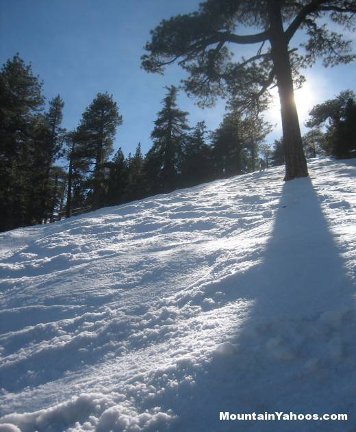 mogul run at Mt Waterman
