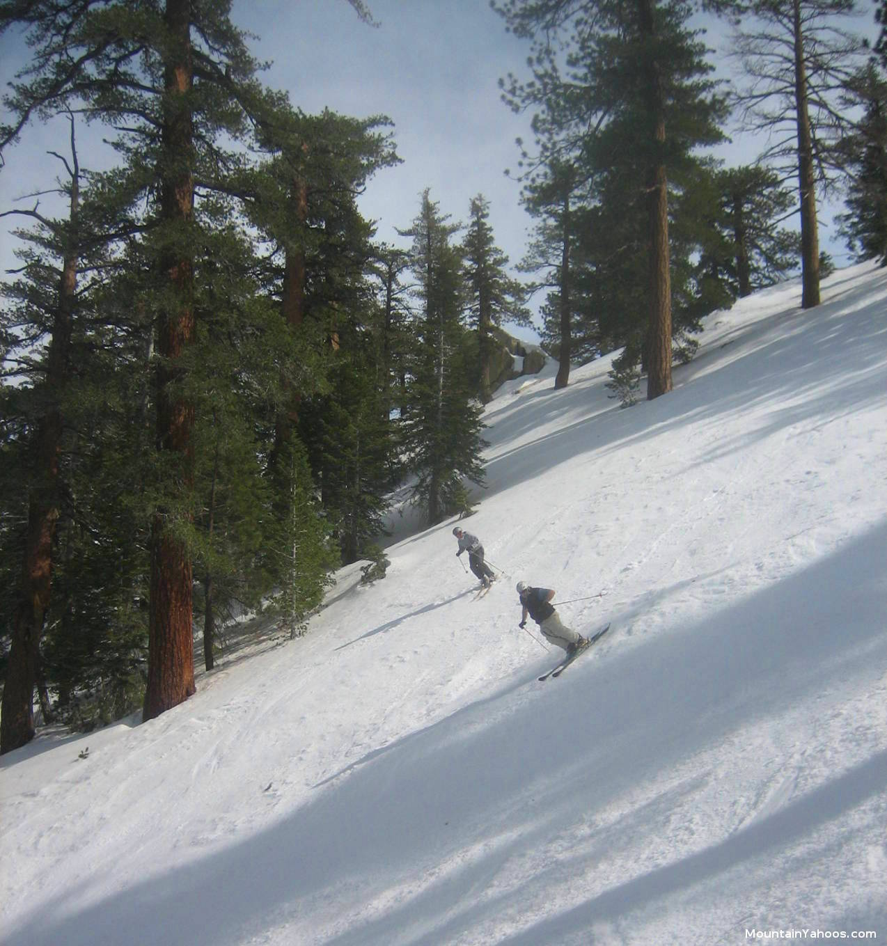 Ski run at Mt. Waterman