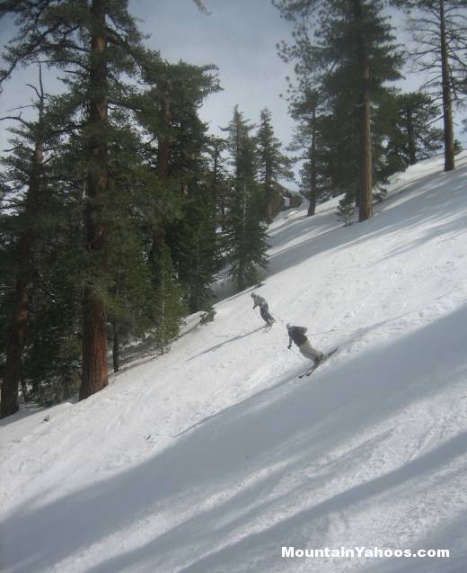 Ski run at Mt. Waterman