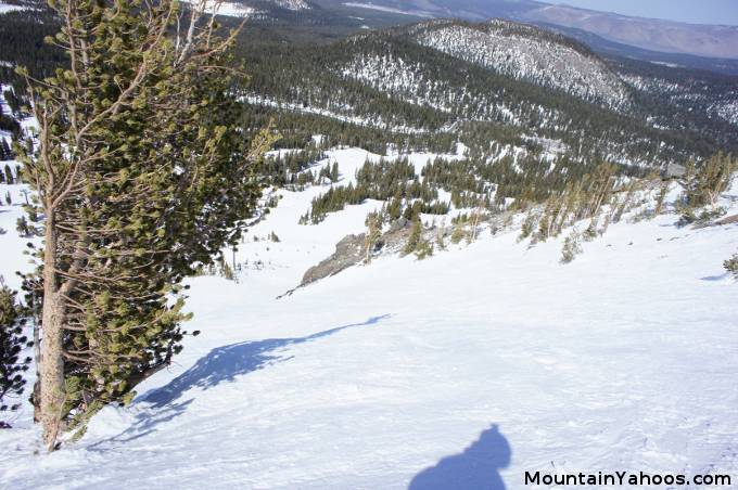 Avi I at Mammoth