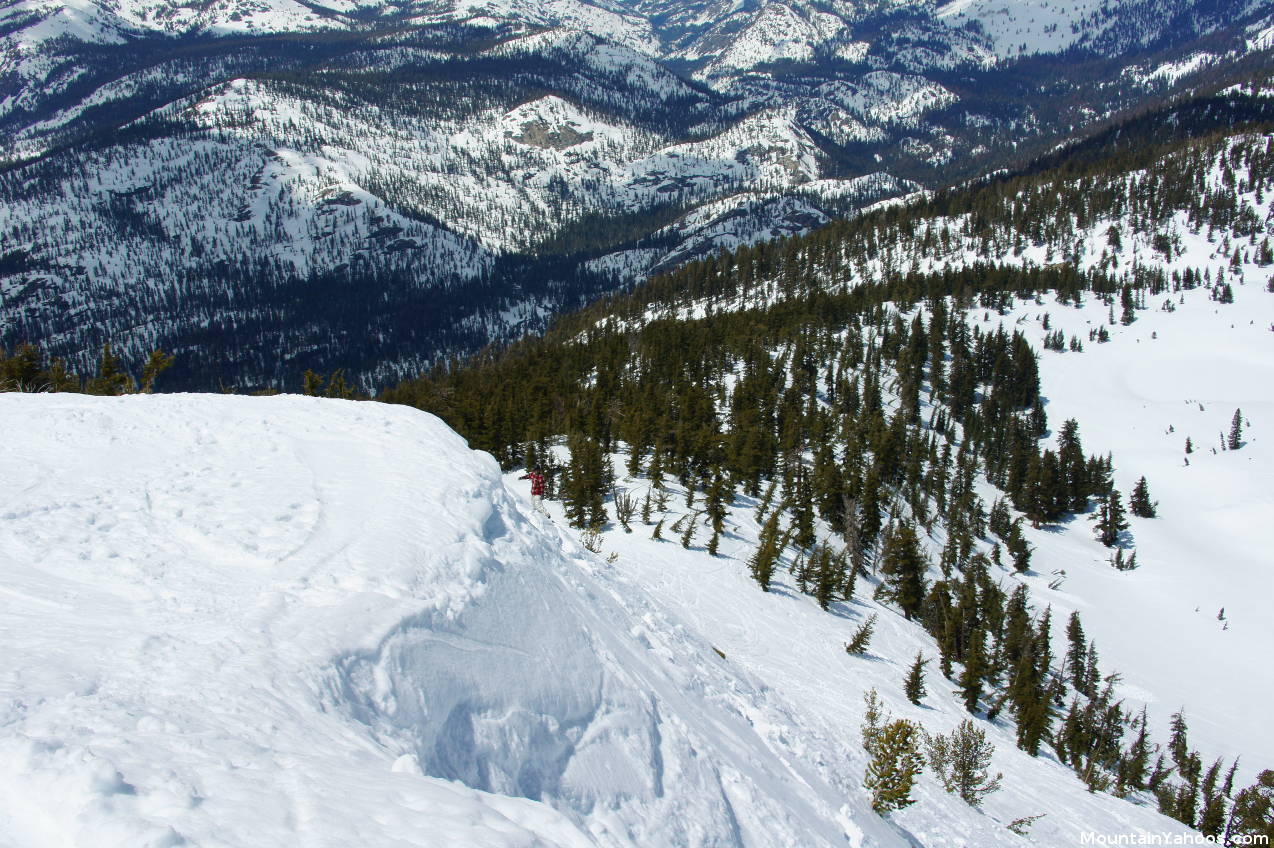 Mammoth Mountain Hemlocks: view down