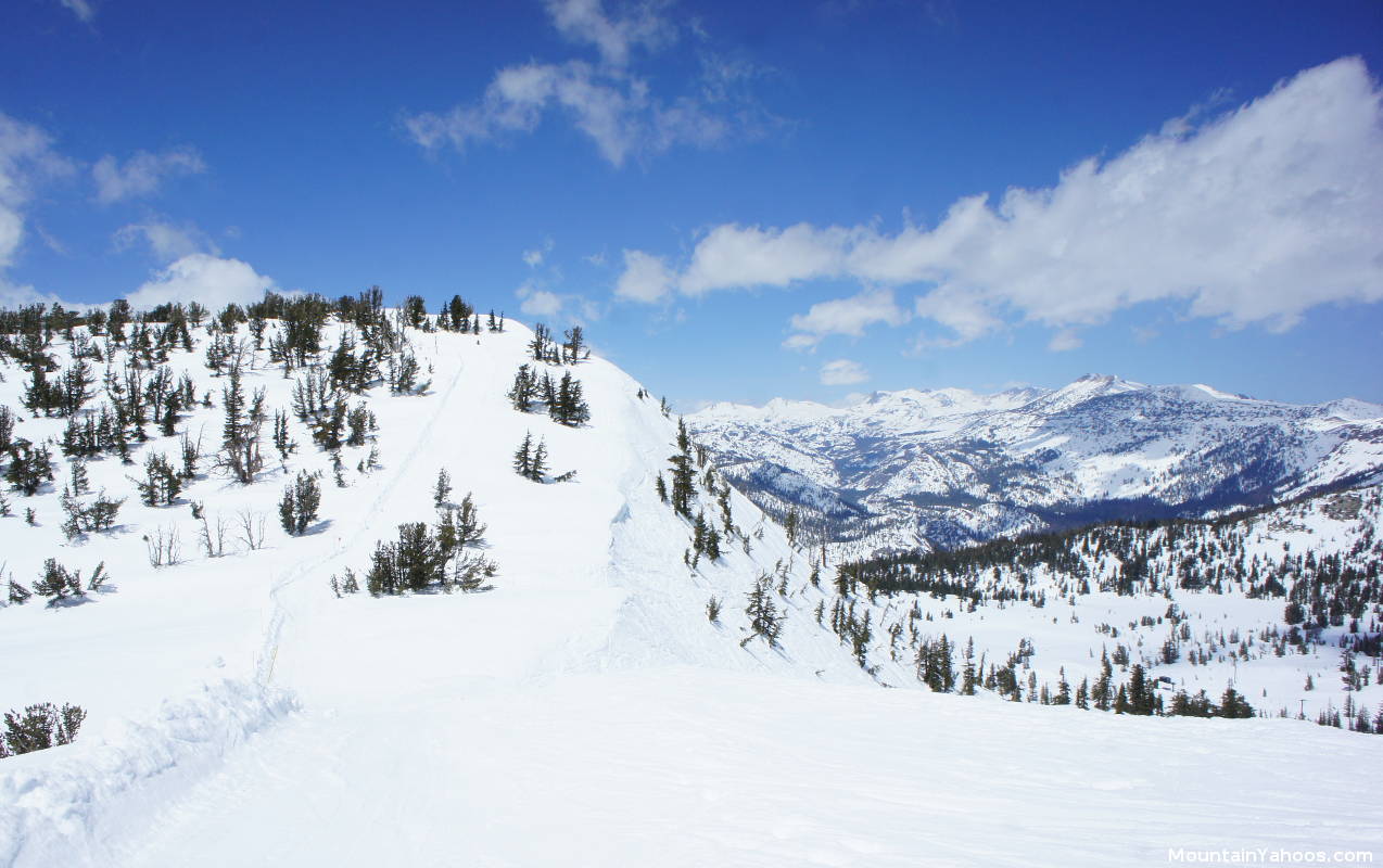 Mammoth Mountain Hemlocks hike