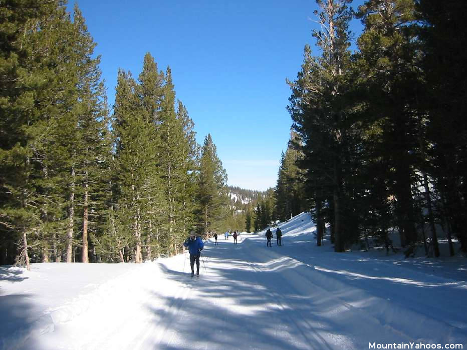 Cross country skiing