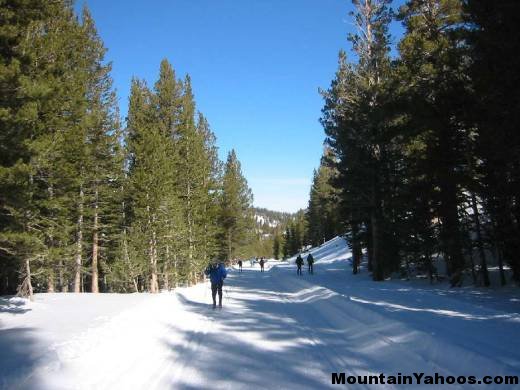 Cross country skiing