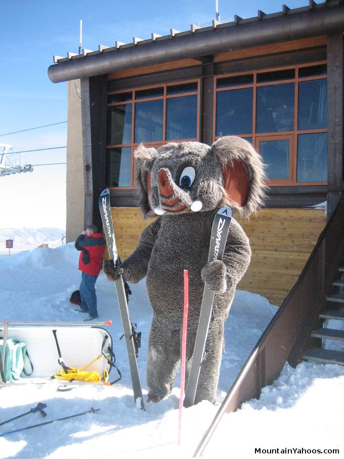 Mammoth Mountain CA ski resort mascot Woolly