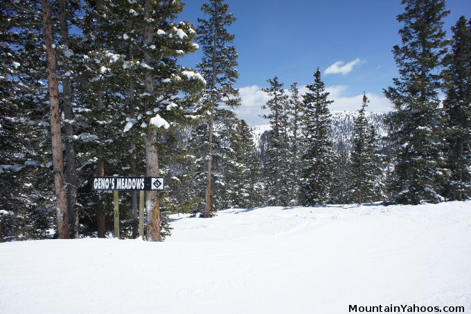 Advanced run Geno's Meadow