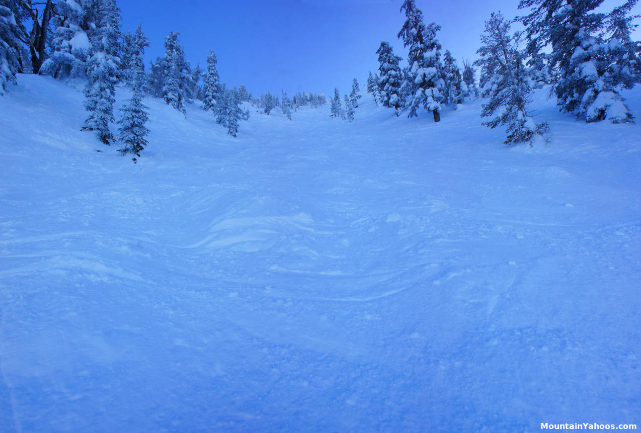 Mount Rose: Yellow Jacket Chutes - looking up