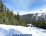 Spherical Panoramic view of the run BR2 at Mount Norquay