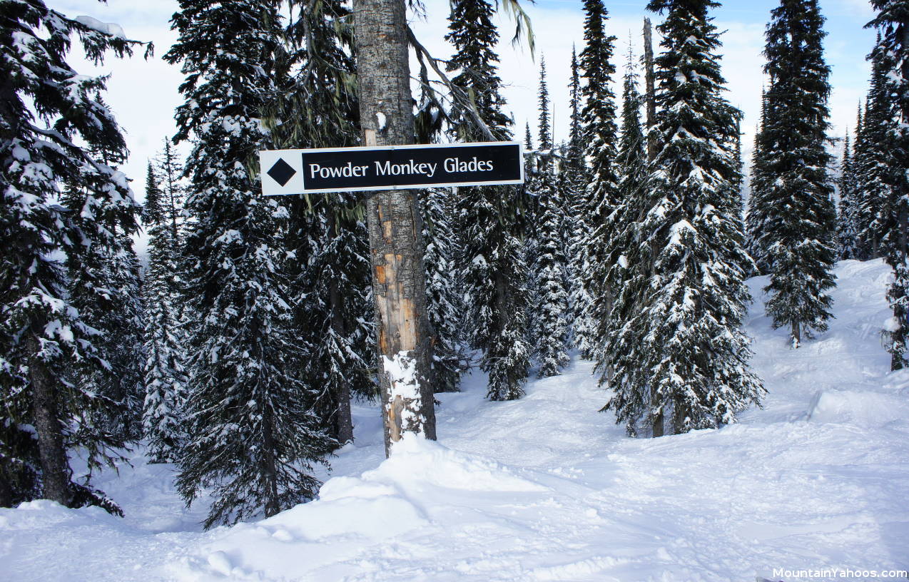 Powder Monkey Glades: Tree run