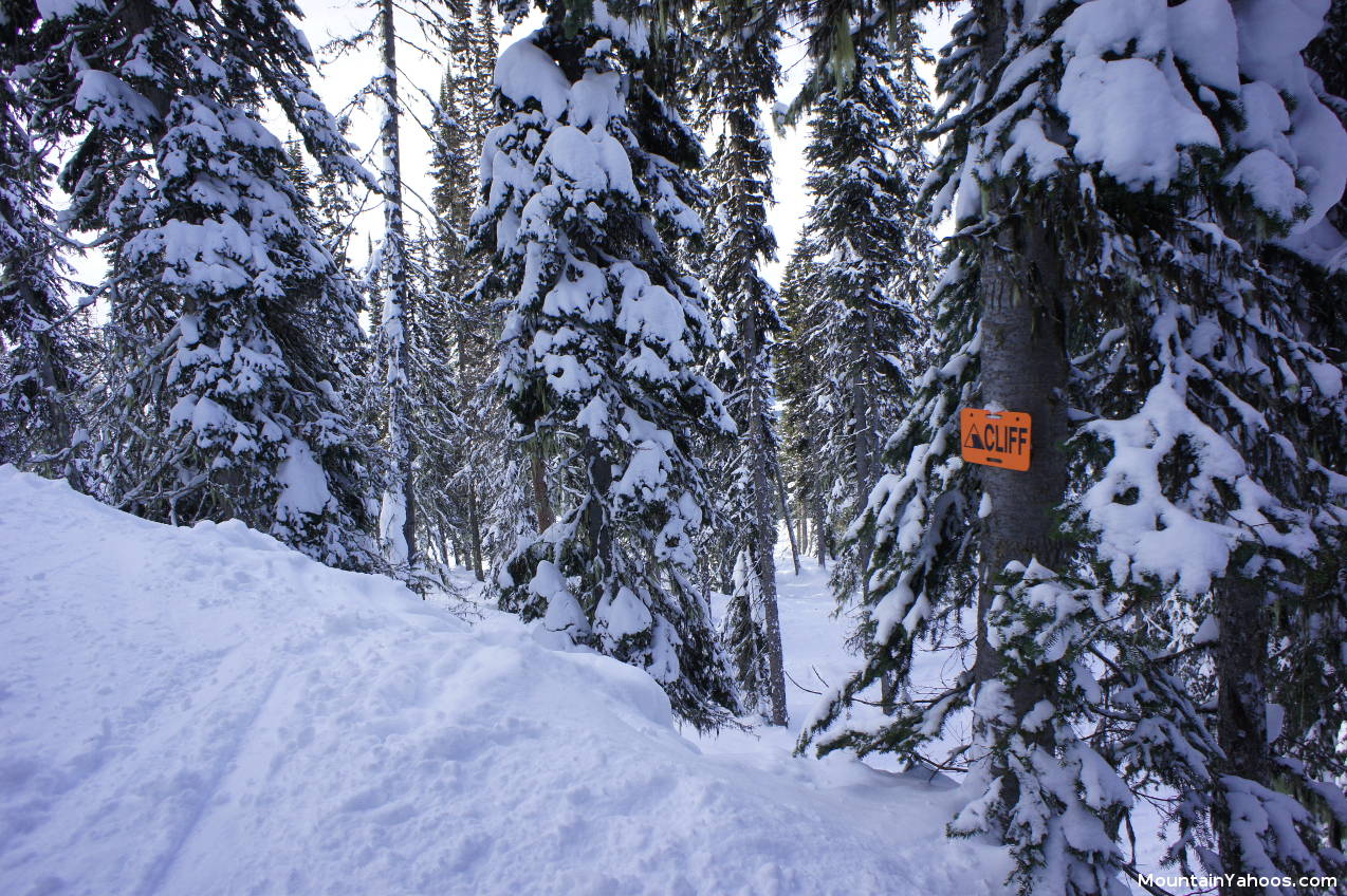 Powder Monkey Glades: Tree run