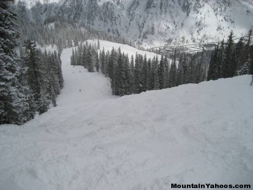 Snowbird mogul run Gadzooks