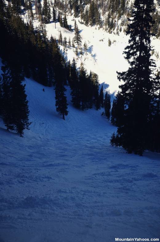 Summit Lift - Headwall Forest ski run